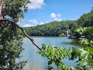 Lot 32 Lake View Point, Glade Hill, VA 24092