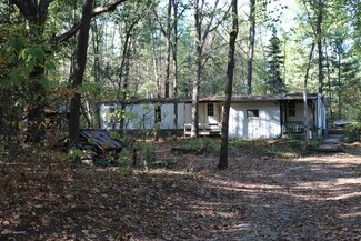 5149 Rocky Top Ln, Pierson, MI 49339