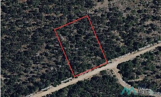 160 Trailer Rd, Timberon, NM 88350