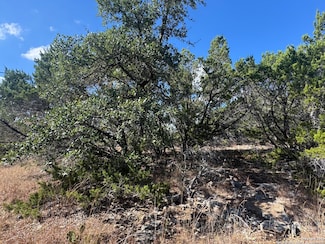 217 Breeze Point, Canyon Lake, TX 78623