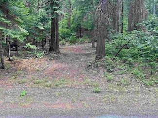 Lot 9 Timber Hills Rd, Mount Shasta, CA 96067