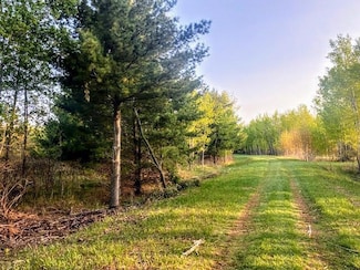 TBD Portage Loop, Fawn Lake Township, MN 56438