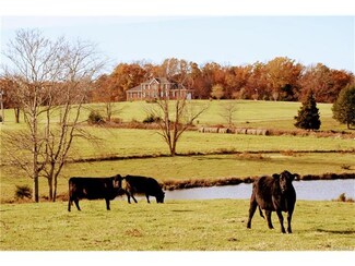 497 Bransford Rd, Arvonia, VA 23004