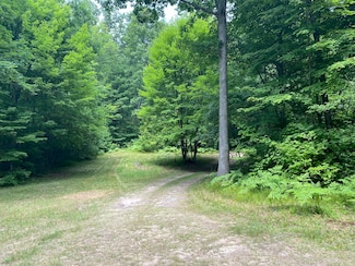 9190 Ferris Ave, Bitely, MI 49309