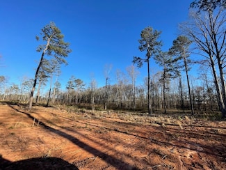 283 Lower Simmons Rd, Macon, GA 31220