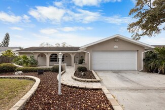2115 Flamingo Place, Safety Harbor, FL 34695