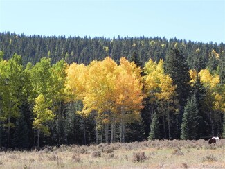 0 Rhyolite Mountain Mesa Unit 9270622, Cripple Creek, CO 80813