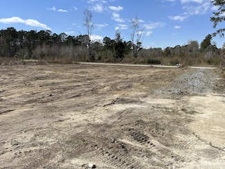 79 Herndon St Unit Tract 4, Walterboro, SC 29488