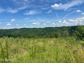 Lot #13 H O Allison Rd, Baxter, TN 38544