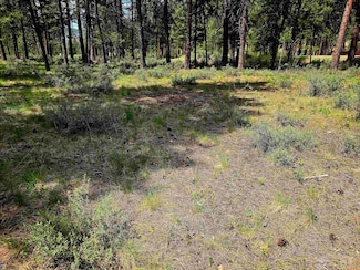 TBD Victory Ln, Lowman, ID 83637
