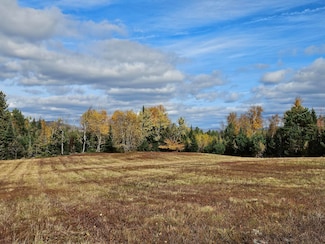 Lot 24 Mountain View Ln, Merrillsville, NY 12989