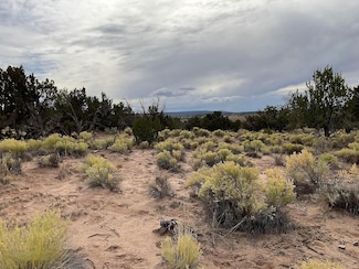 N6586, Saint Johns, AZ 85936