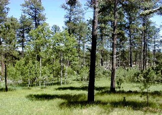 Lot 1 Eagle Ridge Dr, Custer, SD 57730