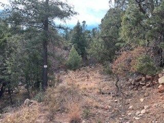 Tracts D1, D2-A, D2- Dragonfly Canyon Rd, Rowe, NM 87562