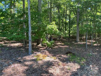 4833 Pimlico Ln, Waxhaw, NC 28173