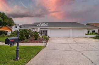 13724 Chestersall Dr, Tampa, FL 33624