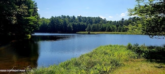 157 Bernadette Dr, Delaware Township, PA 18328