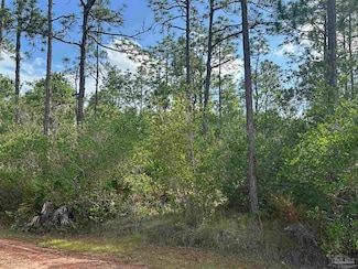 00 N 34th Ave, Avalon, FL 32583