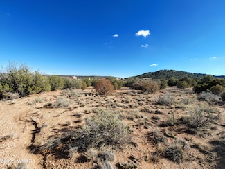 Parcel 3 W Shumway Rd, Taylor, AZ 85901