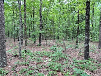 00 Edgemont Rd, Quitman, AR 72543