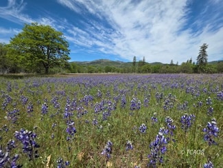 13660 California 3, Hayfork, CA 96041