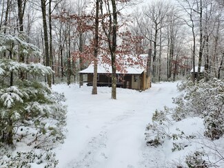 115 Forest Dr, Beech Creek, PA 16822