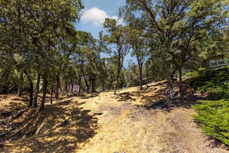 13843 Sun Forest Dr, Penn Valley, CA 95946