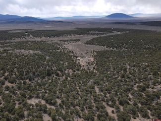 16511 Bull Elk Trail, San Luis, CO 81152