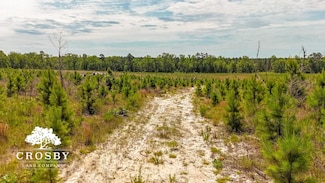 0 Alexander-Munnerlyn Rd, Waynesboro, GA 30830