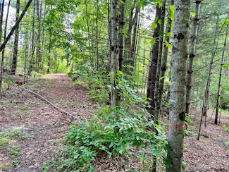 000 Crabtree Woods Rd Unit 11, 20,21,22,23, Spruce Pine, NC 28777