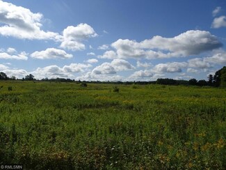 xxx 290th St, Spring Valley, WI 54767