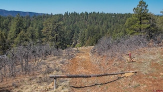 154 Engineer Point, Pagosa Springs, CO 81147