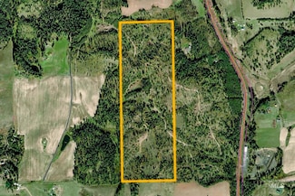 NKA Big Bear Ridge Rd - Parcel 3, Deary, ID 83823
