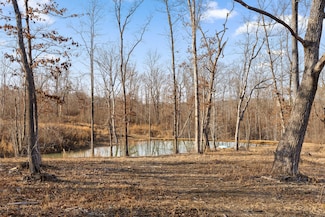 65 Deerhead Rd, Dunlap, TN 37327