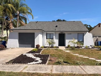 12329 Witheridge Dr, Tampa, FL 33624
