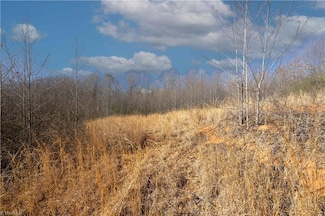 TBD N Carolina Highway 16, Wilkesboro, NC 28697
