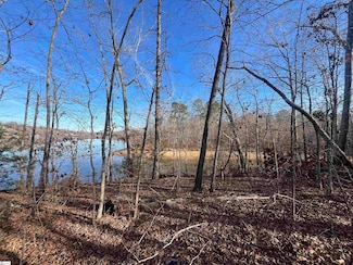 00 Rabon Creek Cir, Waterloo, SC 29384