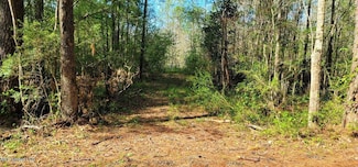Nhn Dupont Harts Chapel Rd, Poplarville, MS 39470