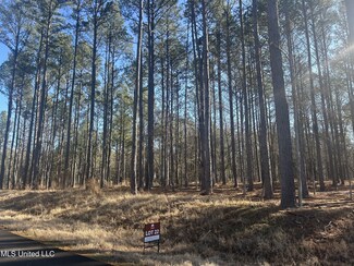 0 Springwood Trail Unit 22566785, Flora, MS 39071
