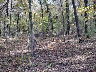 00 Hwy 14 E, Mountain View, AR 72560