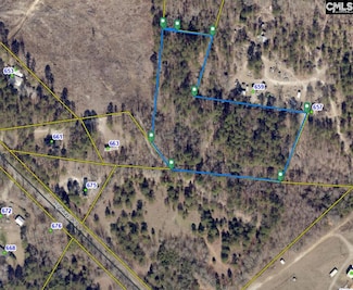 667 Hwy 178, Pelion, SC 29123