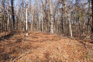 0 SW 50 Rd Unit 60311478, Osceola, MO 64776