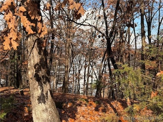 Lot 46 Carol Rd, Pawhuska Township, MO 65049