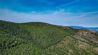 Nhn W Fork Combest Creek Rd, Plains, MT 59859