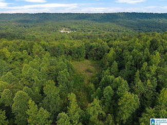 Lot #2 Alabama 75 Unit 1, Oneonta, AL 35121