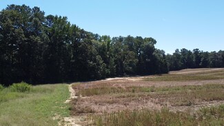 0 Old Stapleton Rd, Stapleton, GA 30823