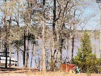1168 Lake Dr, Leesville, SC 29070
