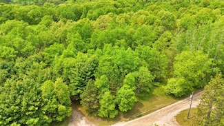 0 Ave, Stanwood, MI 49346