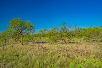 0 County Road 412, Eldorado, TX 76936