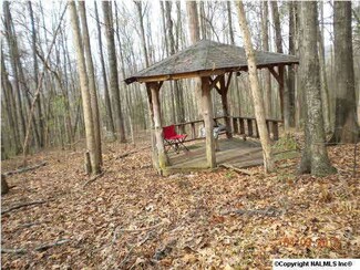 0 Day Dr, Brownsboro, AL 35741